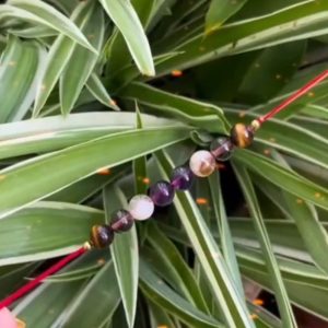 Raakhi for Brother For Family Happiness, Prosperity & Protection